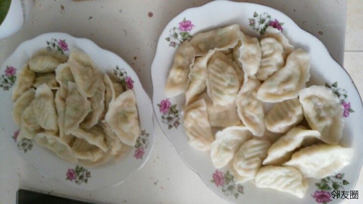 素馅饺子怎么包得快 PN14c.jpeg
