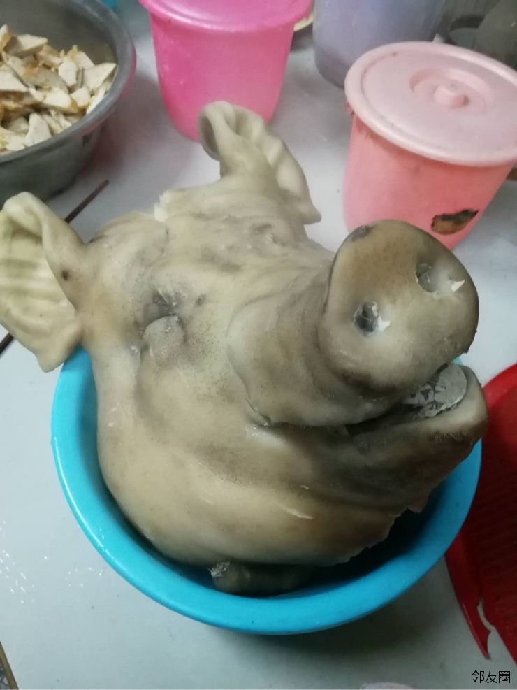 为什么不能吃猪头 z94u7.jpeg