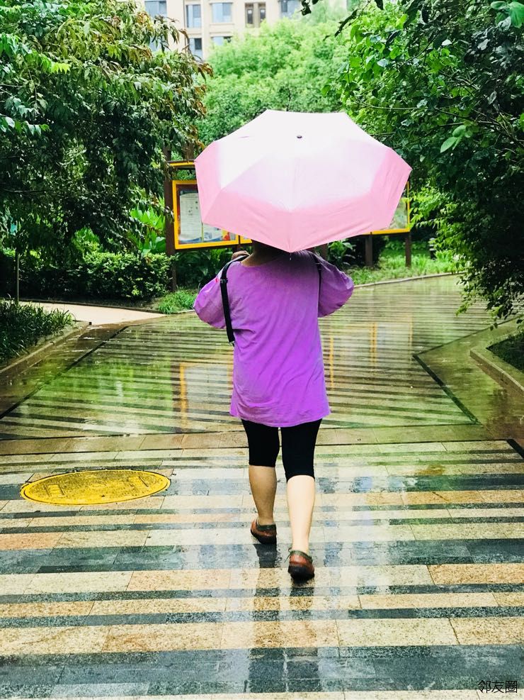 雨中伞道怎么搭_雨中的伞图片(2)