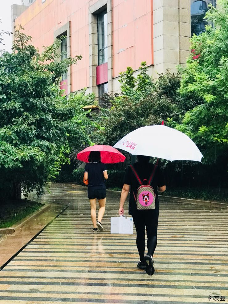 雨中伞道怎么搭_雨中的伞图片(2)