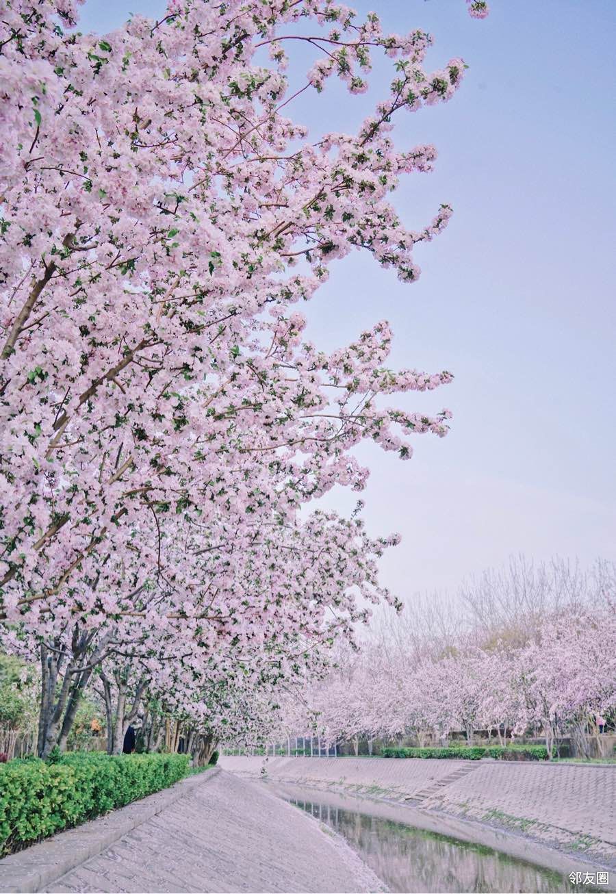 望京海棠花溪,一组照片