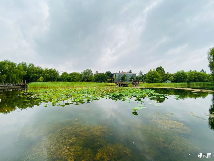 雨中漫步望湖公园
