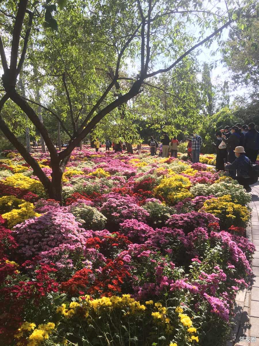北京植物园第二八届北京市花展