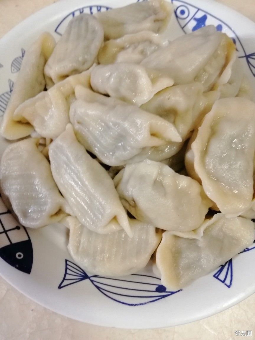牛年随手拍#饺子还是自家香,牛年有鱼