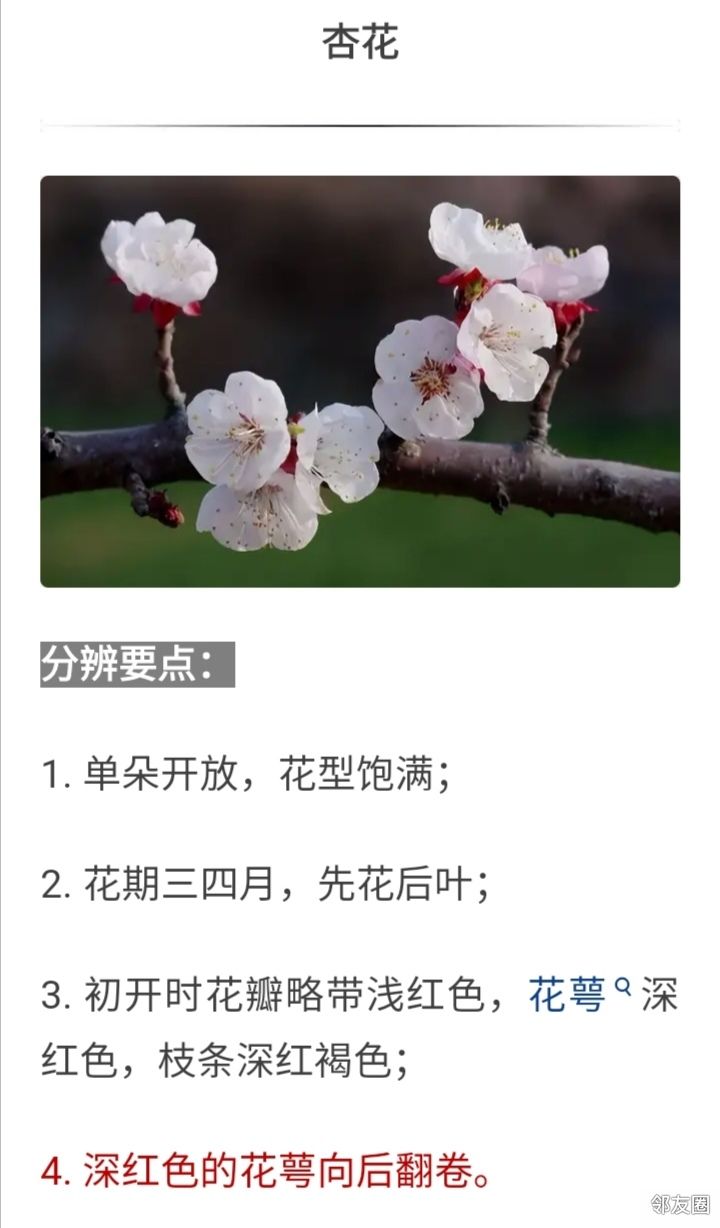 花开三月简谱_三月桃花心中开简谱(2)