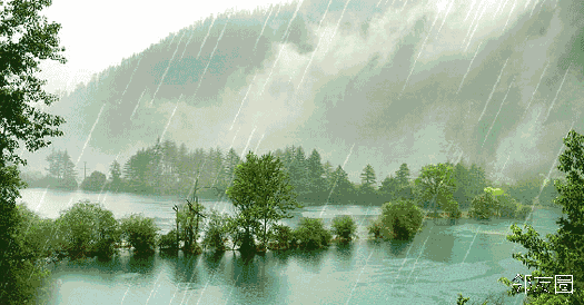 《春夜喜雨》杜甫