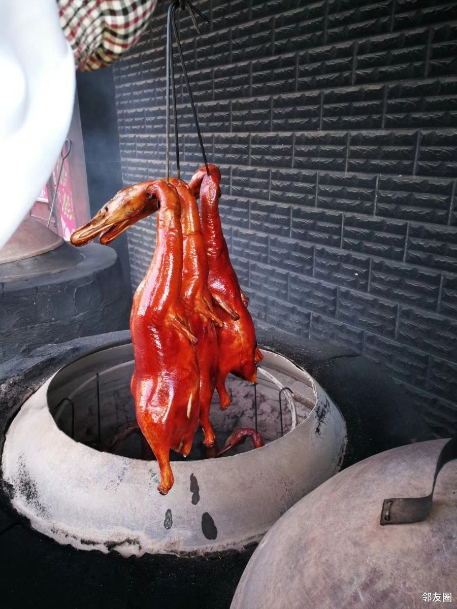 宜良南羊小麻鸭