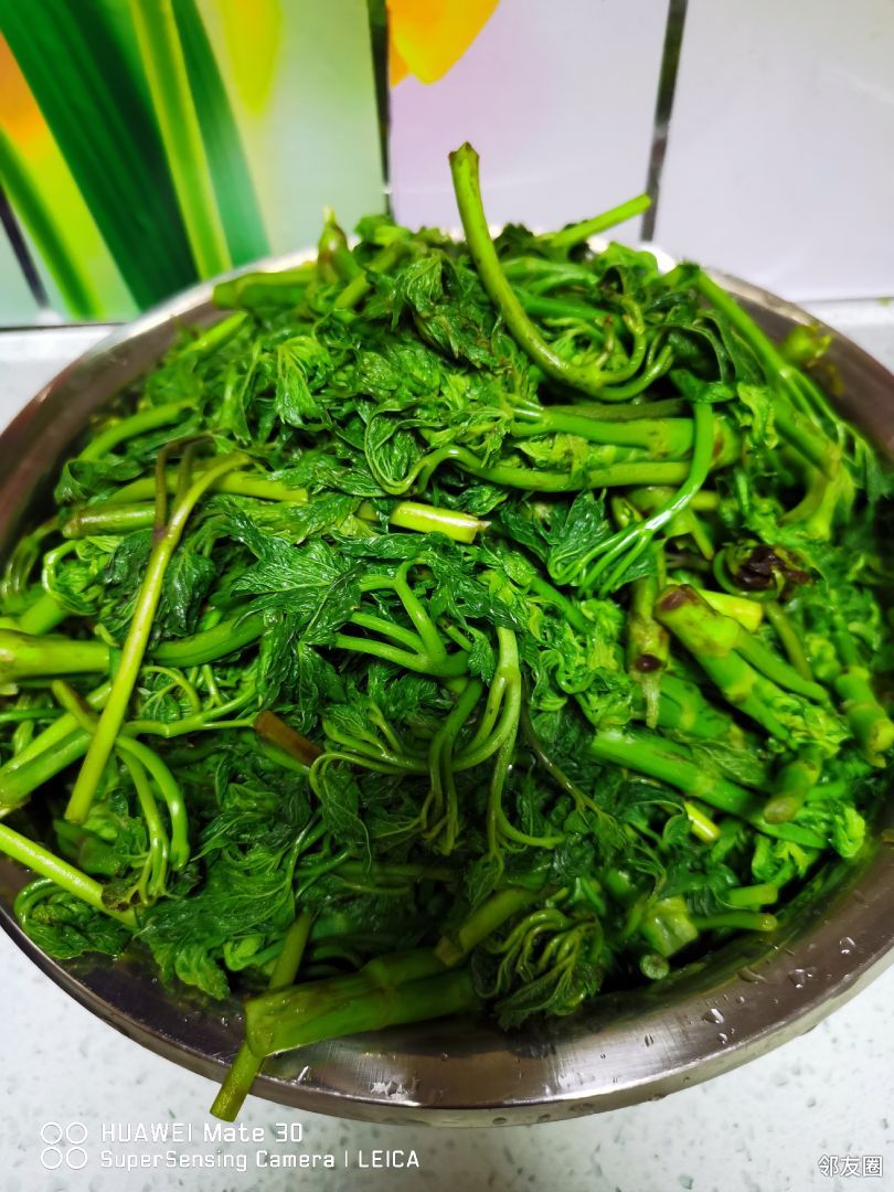 没有美食晒粗粮,与好邻友分享,苦老芽馅儿菜团子.苦老芽学名叫