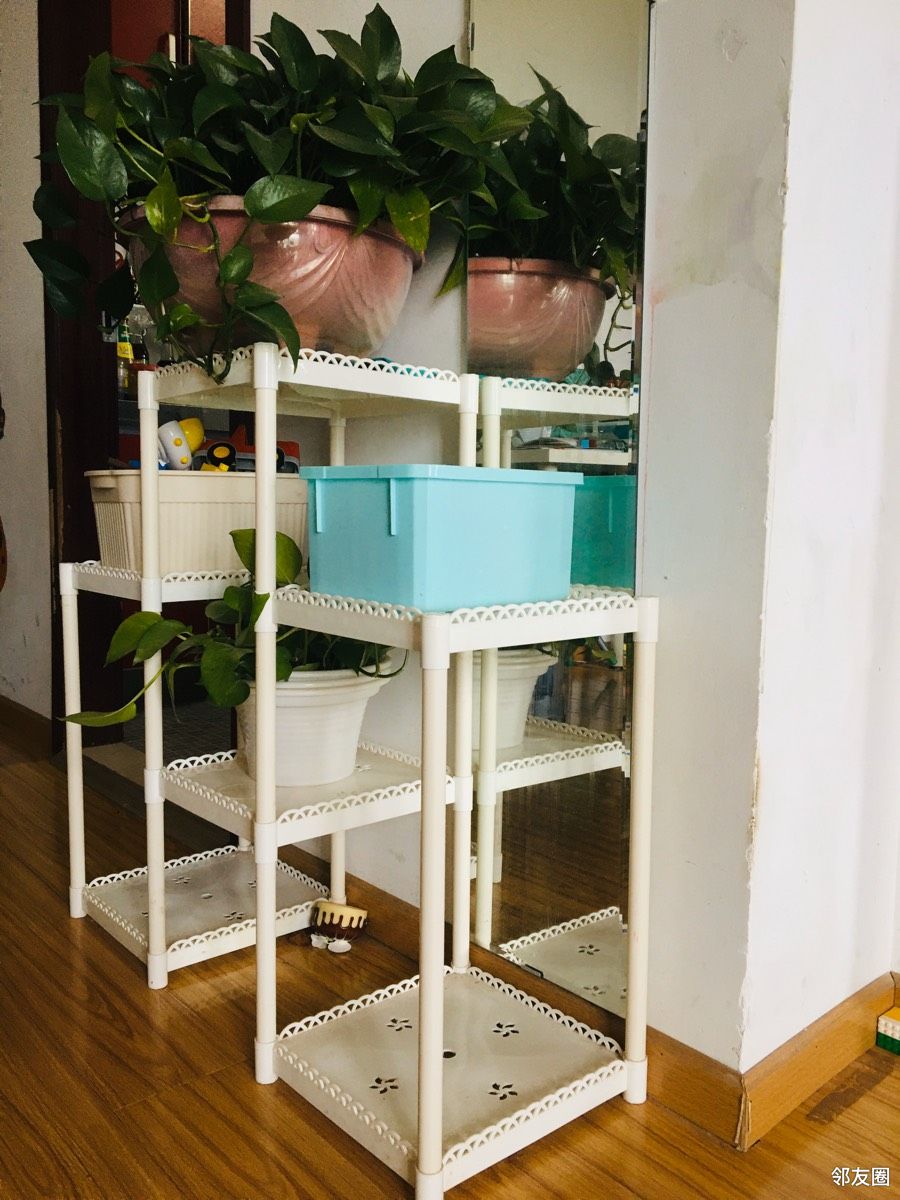 花架,收纳架 - 二手市场 - 无极5平台