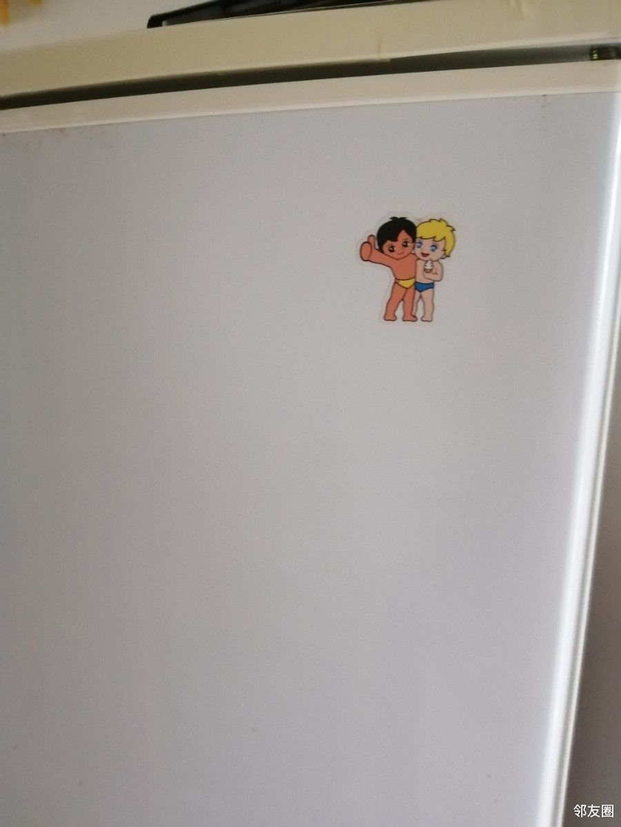 海尔冰箱haierbcd196f