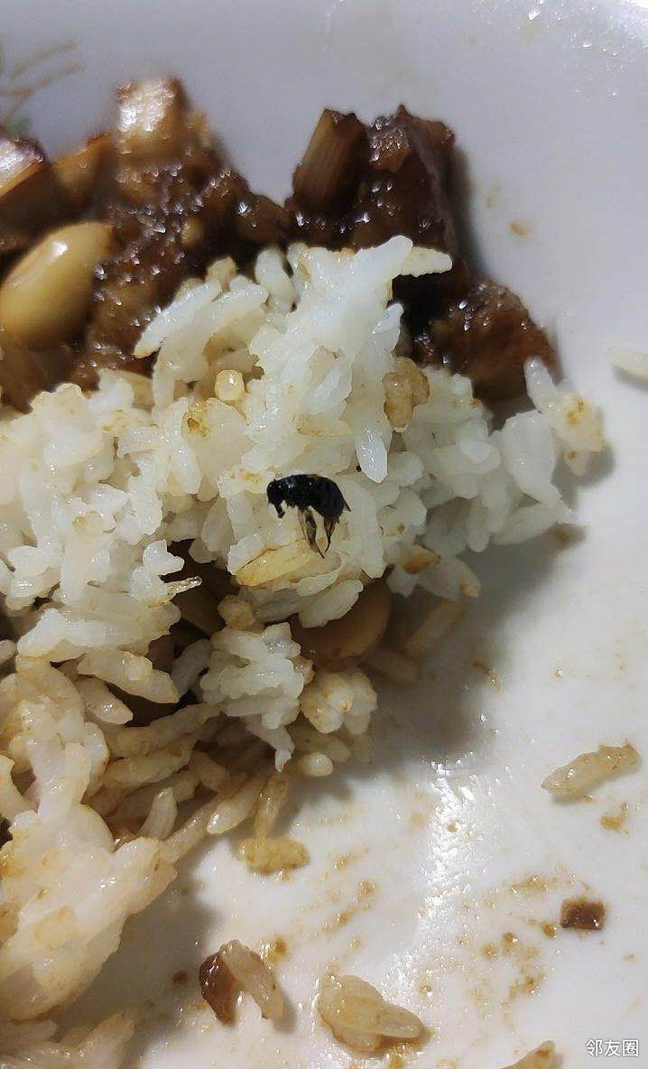 太恶心了,宫保鸡丁里吃出苍蝇,得亏我弄出来放碗里吃