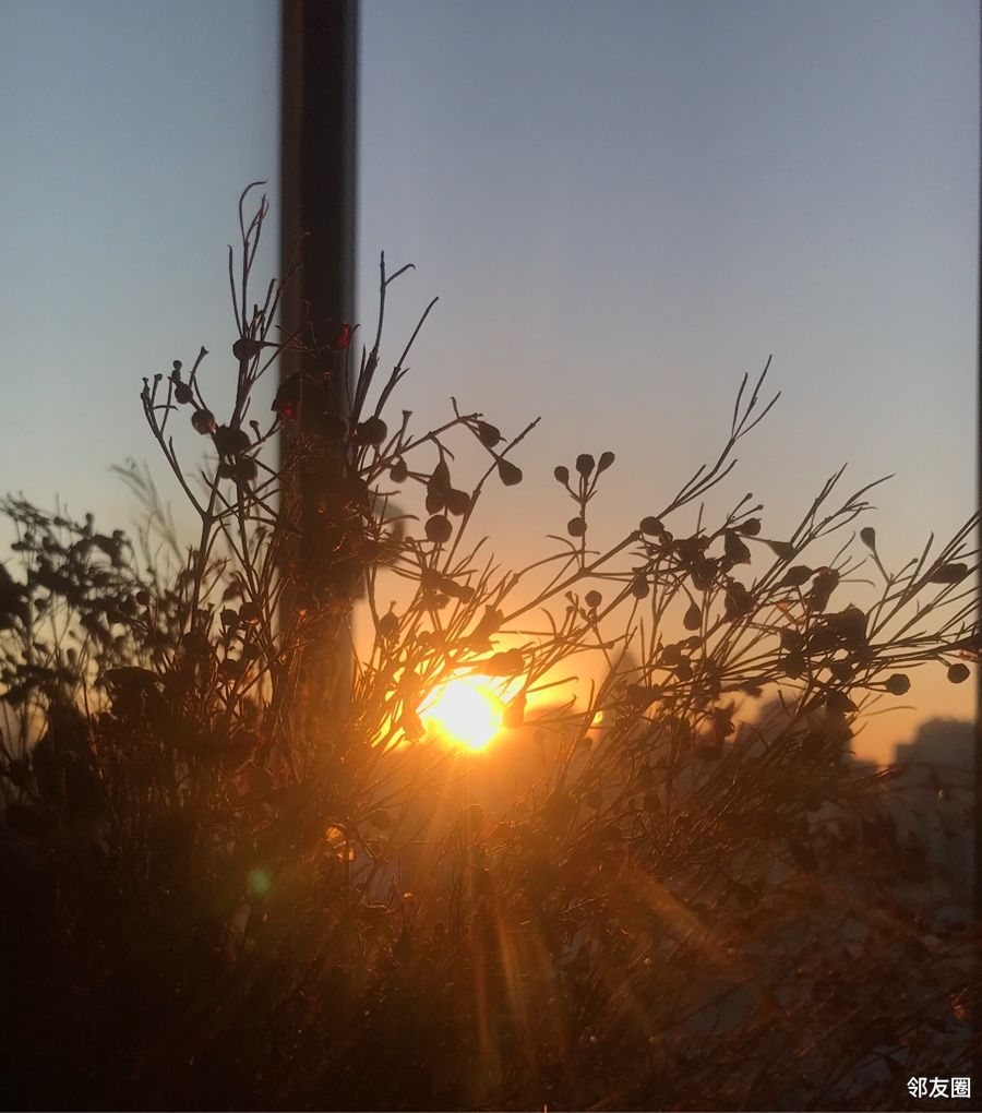 周末又是明媚灿烂的日子,热烈红火的太阳升起来了