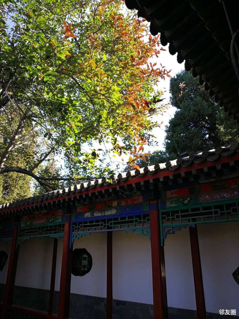 北海公园内的快雪堂很安静,每次到公园北岸都要进去走一圈