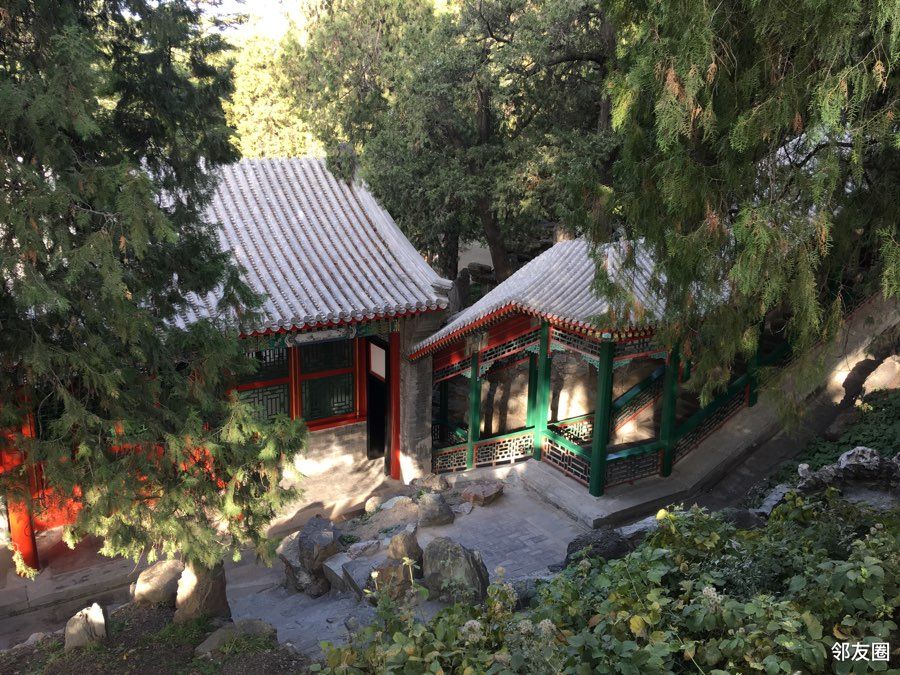 我眼中的秋# 北海公园园中园之濠濮间秋色