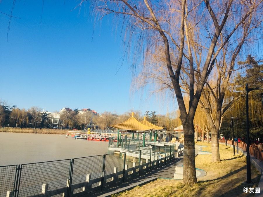 冬天出来晦#冬天的陶然亭公园