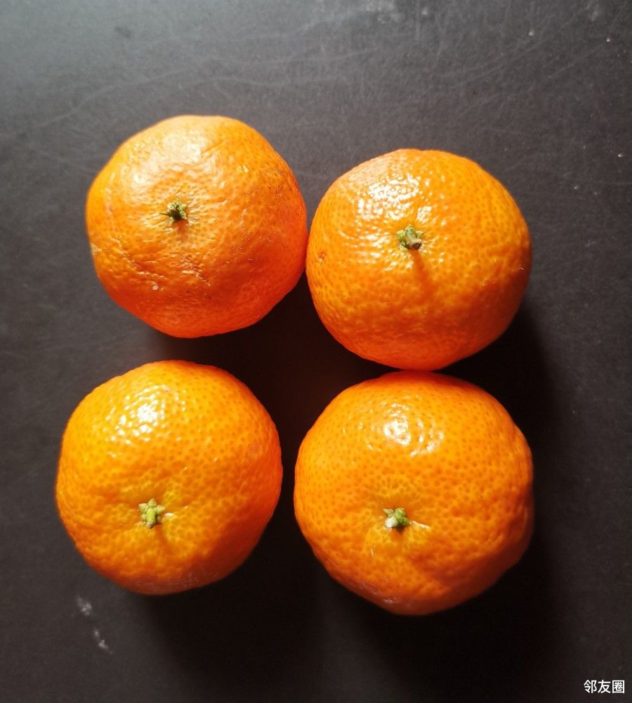 感遇江南有丹橘