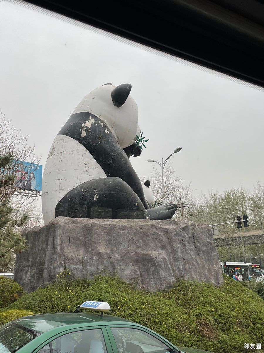 望京地标大熊猫能不能重新修补喷漆啊