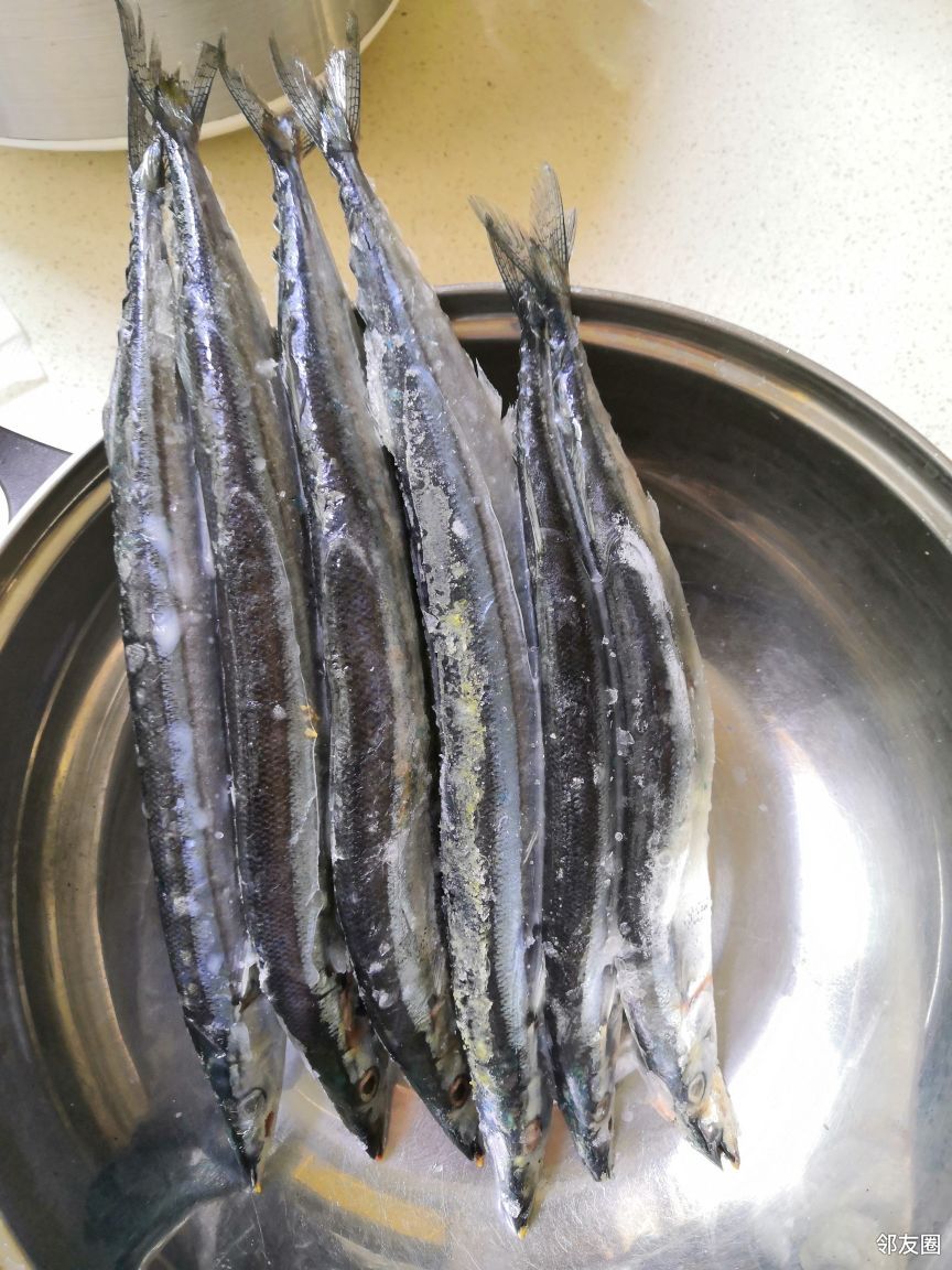 嗨皮的秋刀上线了 吼吼