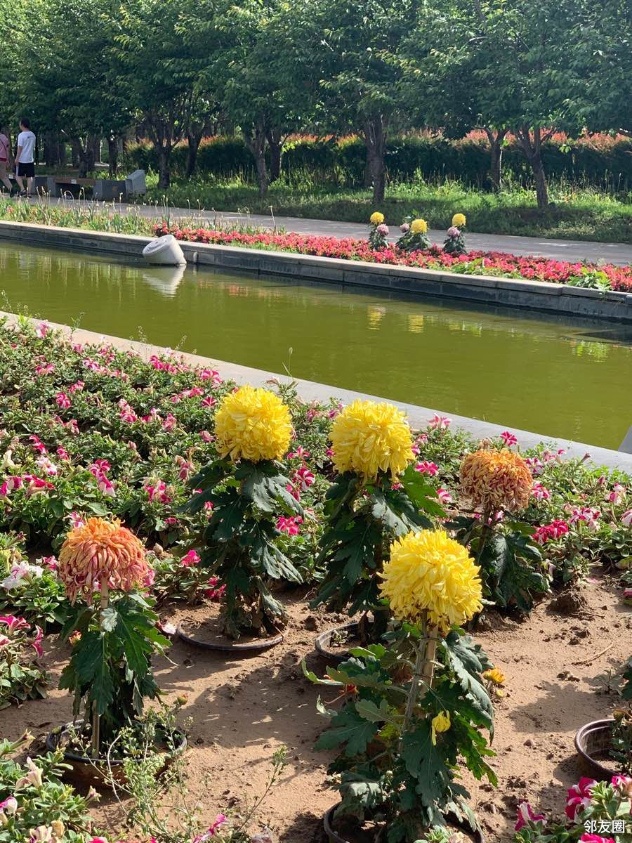 順義鮮花港遛個圈兒