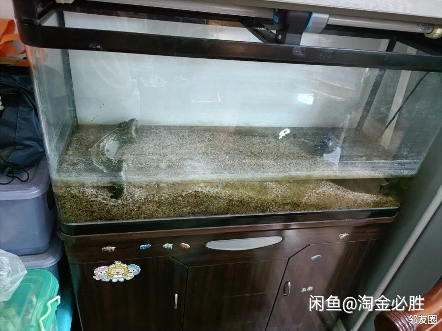 水族箱组合 - 二手市场 - 邻友圈