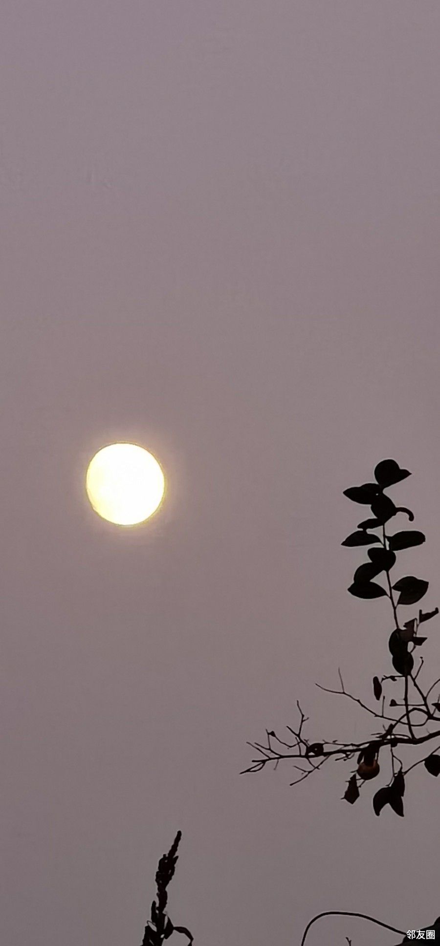 天上有个黄月亮!