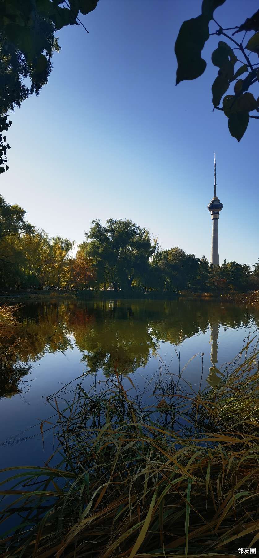 秋游玉渊潭公园