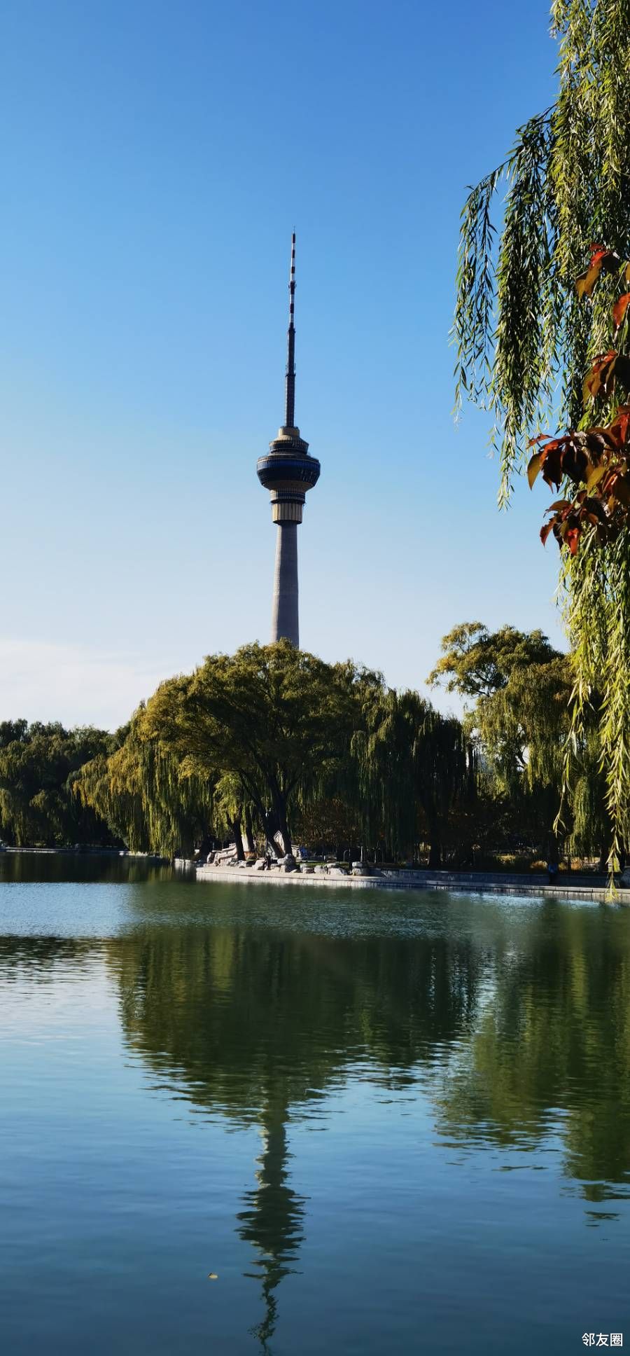 秋游玉渊潭公园