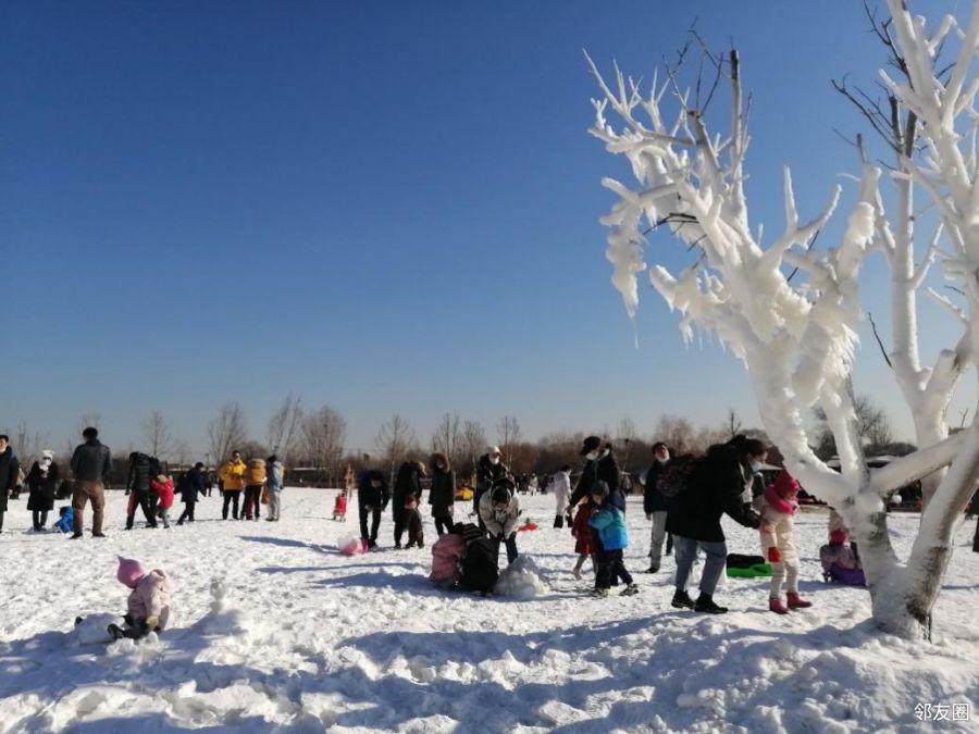 圣露庄园冰雪嘉年华图片