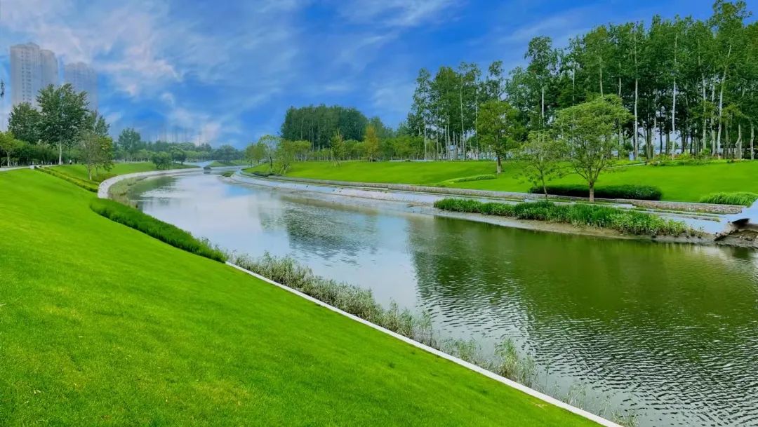 岸线软化驳岸和绿化护坡在利用原有河道防洪结构的基础上"以水为道