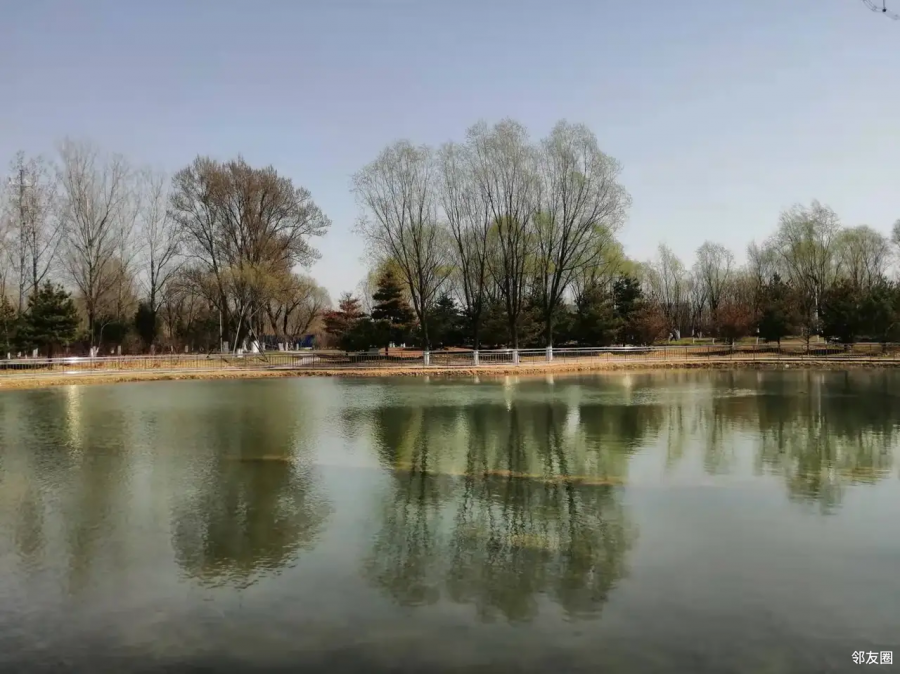来广营郊野公园春色撩人是个踏青的好地方